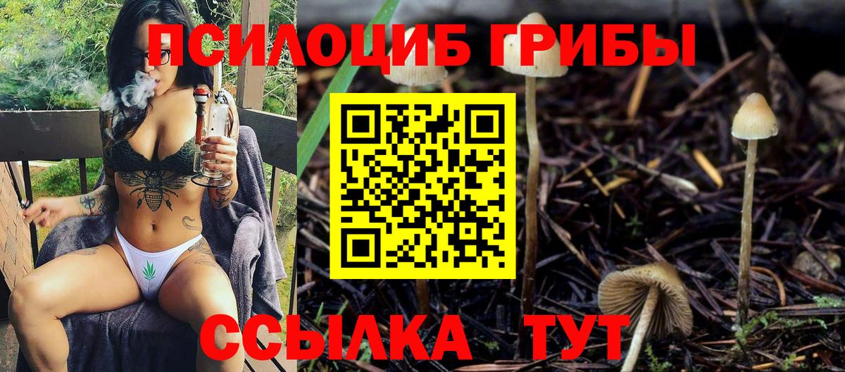 Галлюциногенные грибы прущие грибы Калач-на-Дону